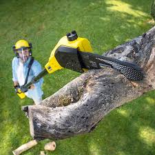Best Commercial Tree Services  in Pensacola, FL